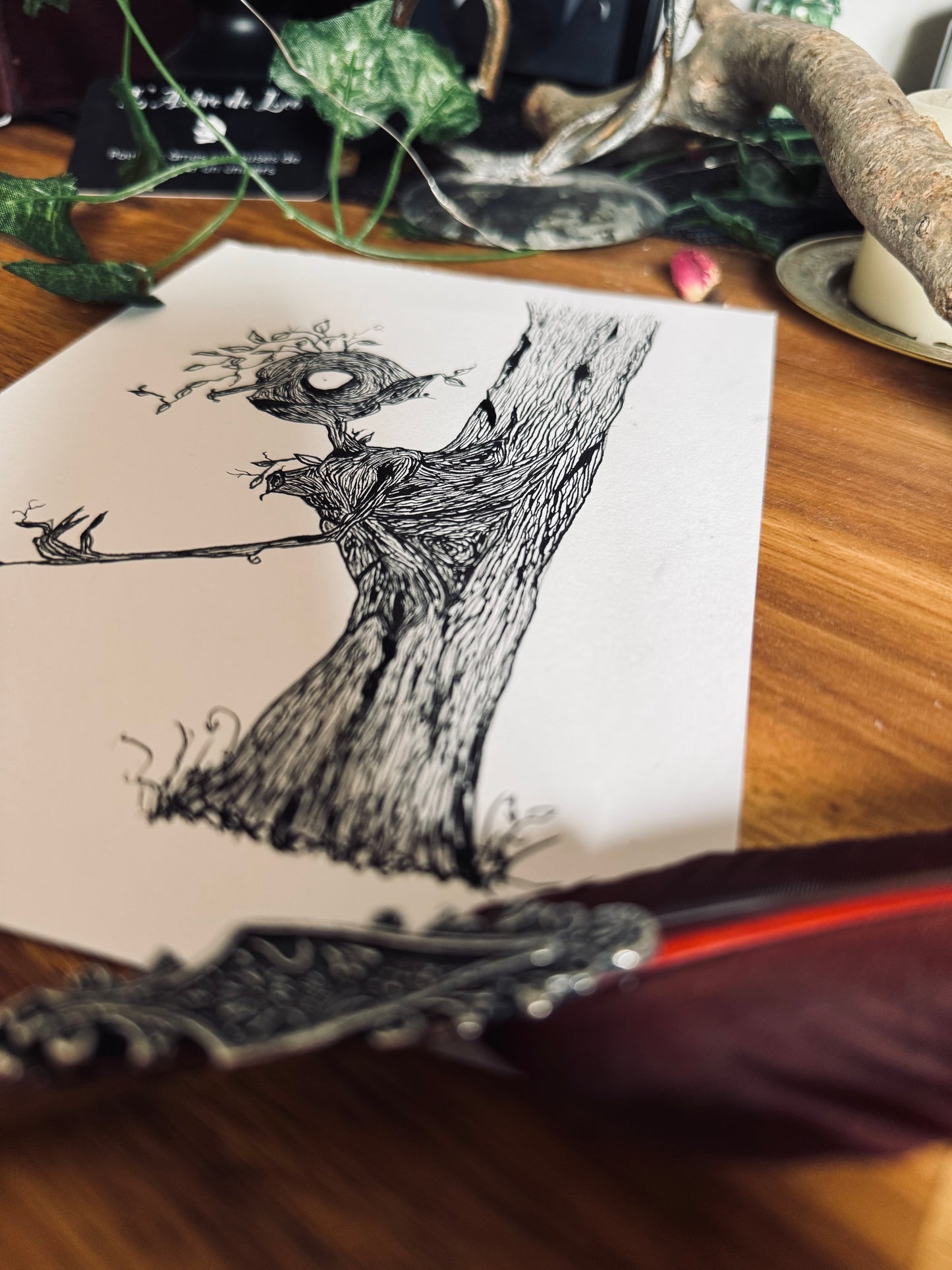 Dessin à la Plume - Arbre