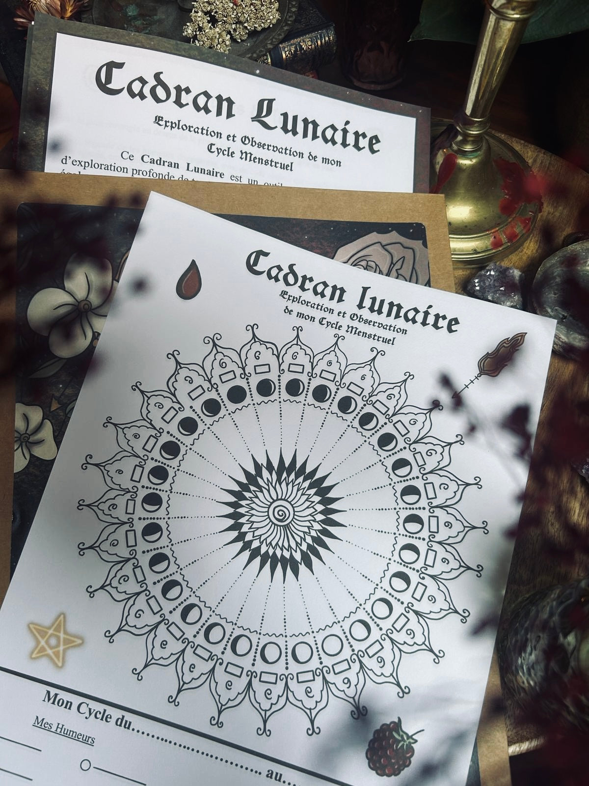 Lot de 4 cartes « La Magie de nos Lunes » + 4 stickers
