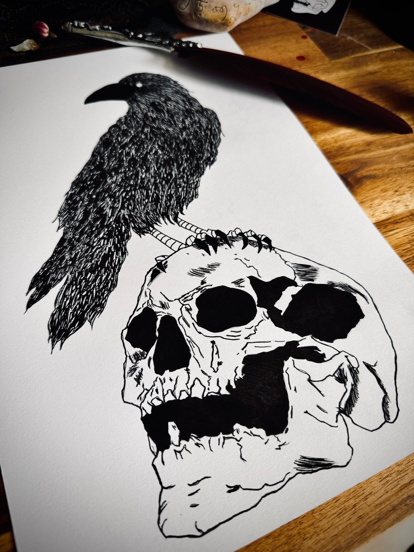 Dessin à la Plume - Crâne et corbeau