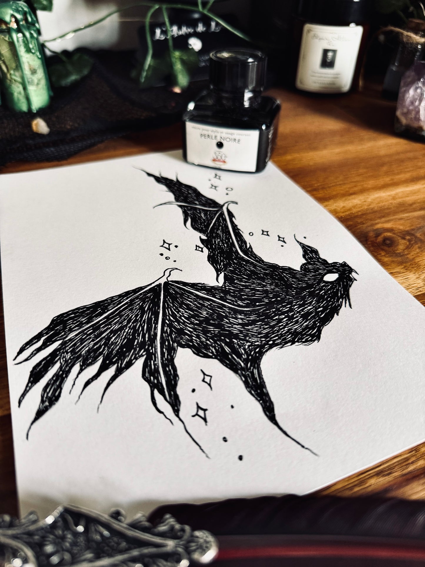 Dessin à la Plume - Chauve souris