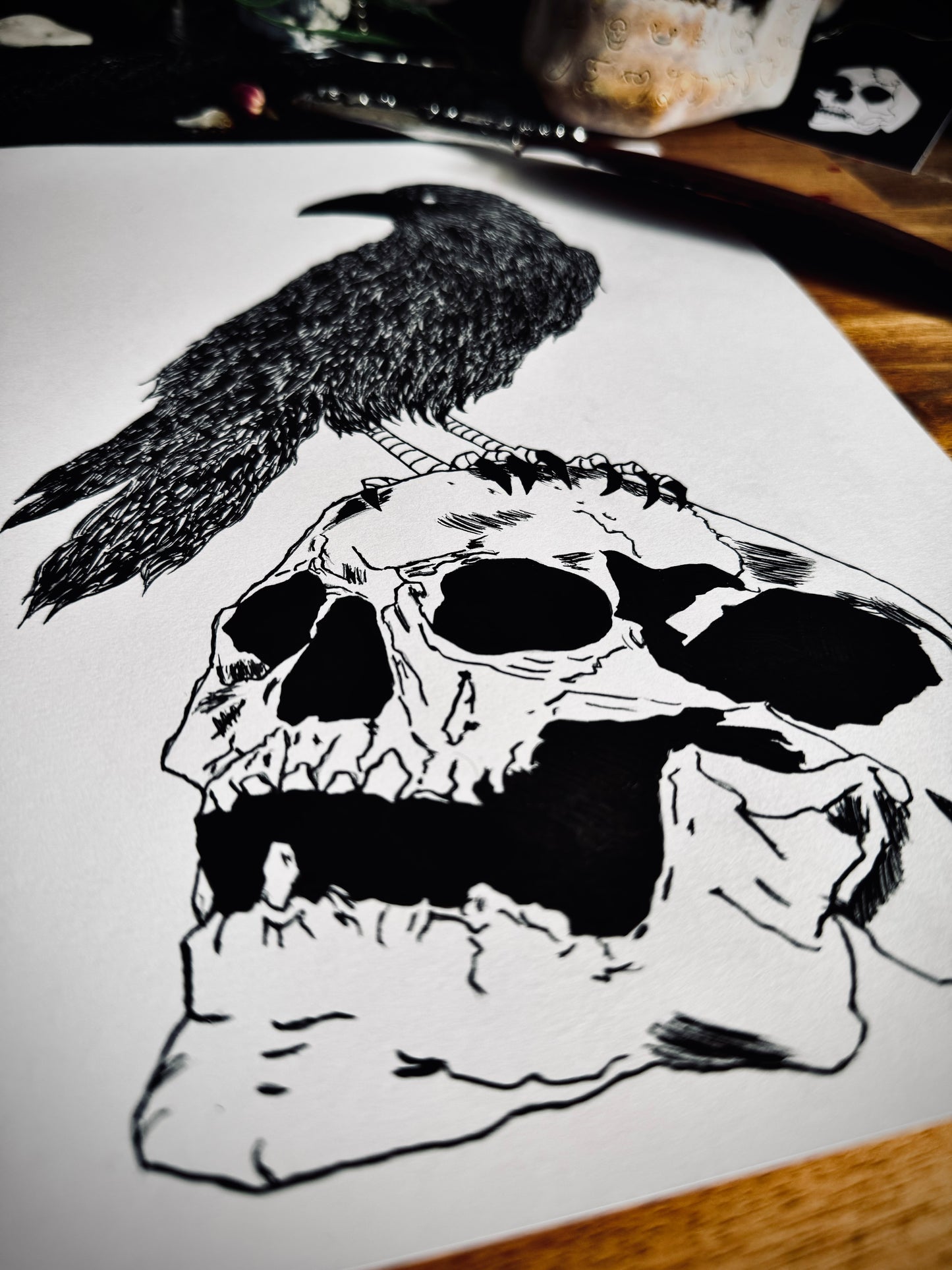 Dessin à la Plume - Crâne et corbeau