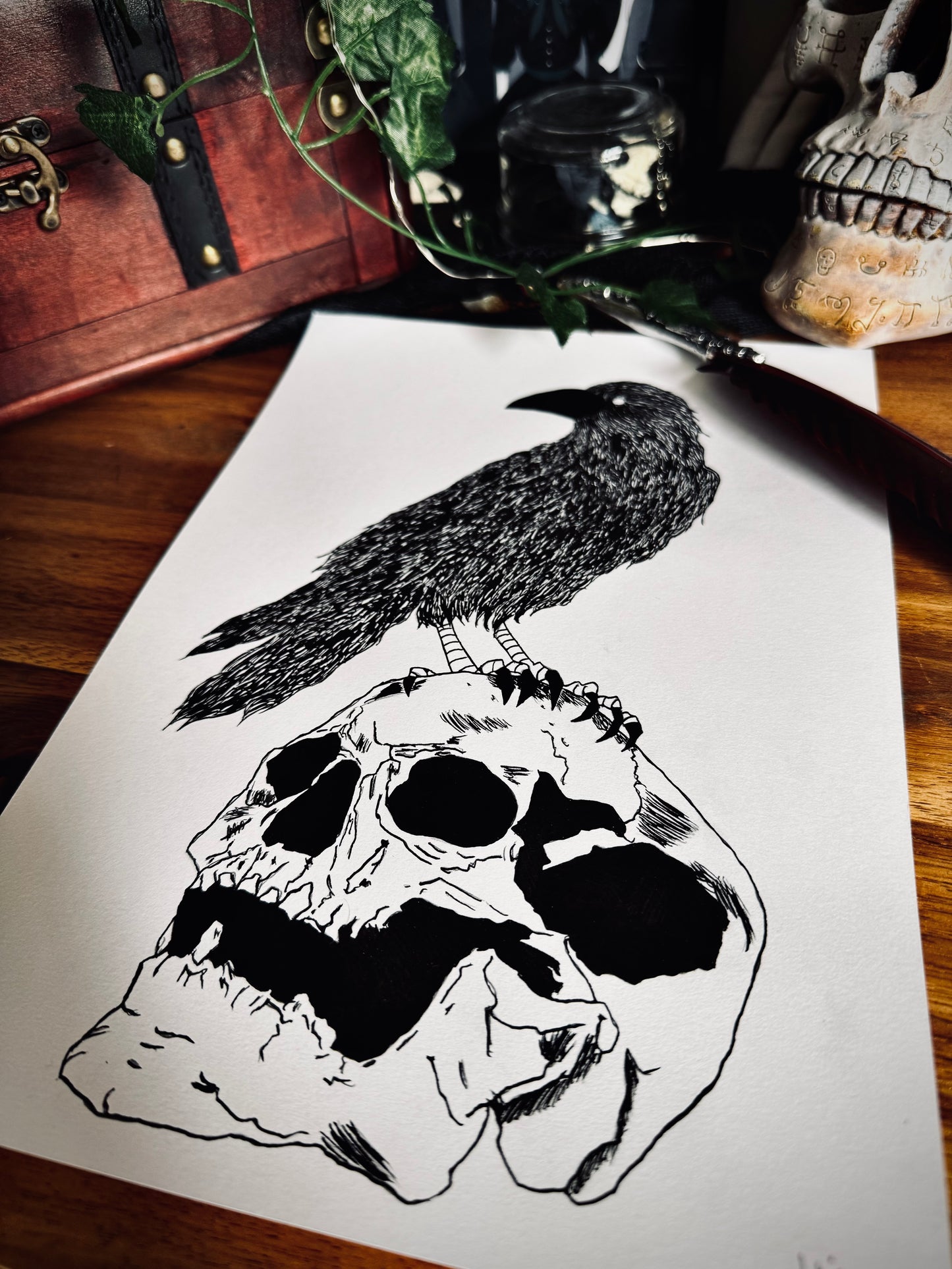 Dessin à la Plume - Crâne et corbeau