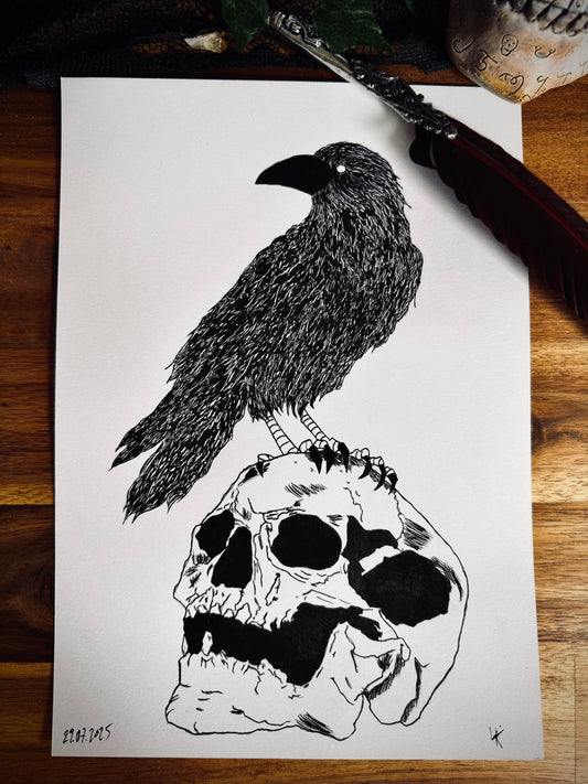 Dessin à la Plume - Crâne et corbeau