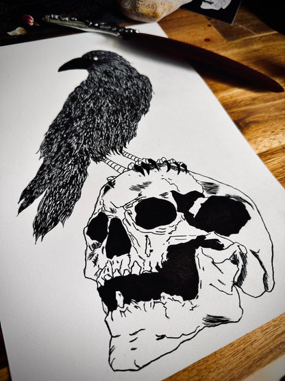 Dessin à la Plume - Crâne et corbeau