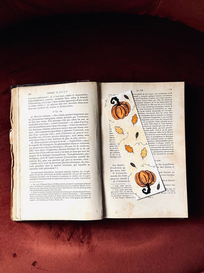 Marque-page citrouilles