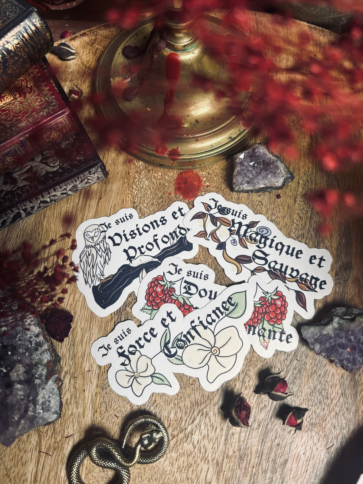 Lot de 4 cartes « La Magie de nos Lunes » + 4 stickers