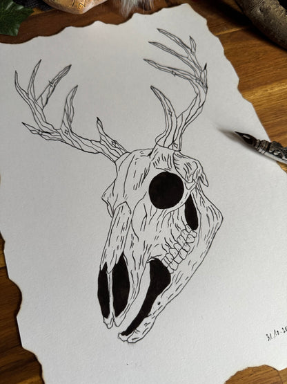 Dessin "Bois de cerf enchantés" à la Plume