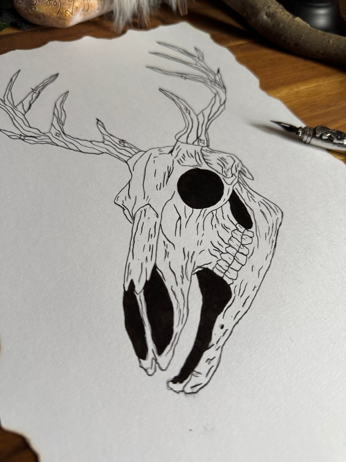 Dessin "Bois de cerf enchantés" à la Plume