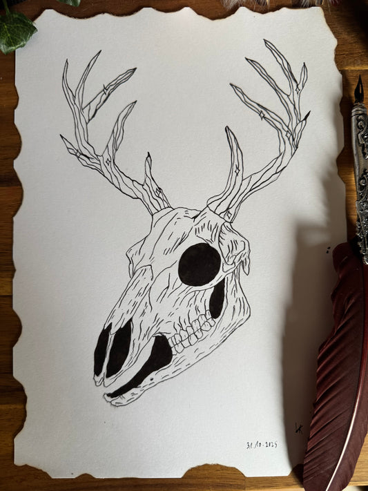 Dessin "Bois de cerf enchantés" à la Plume