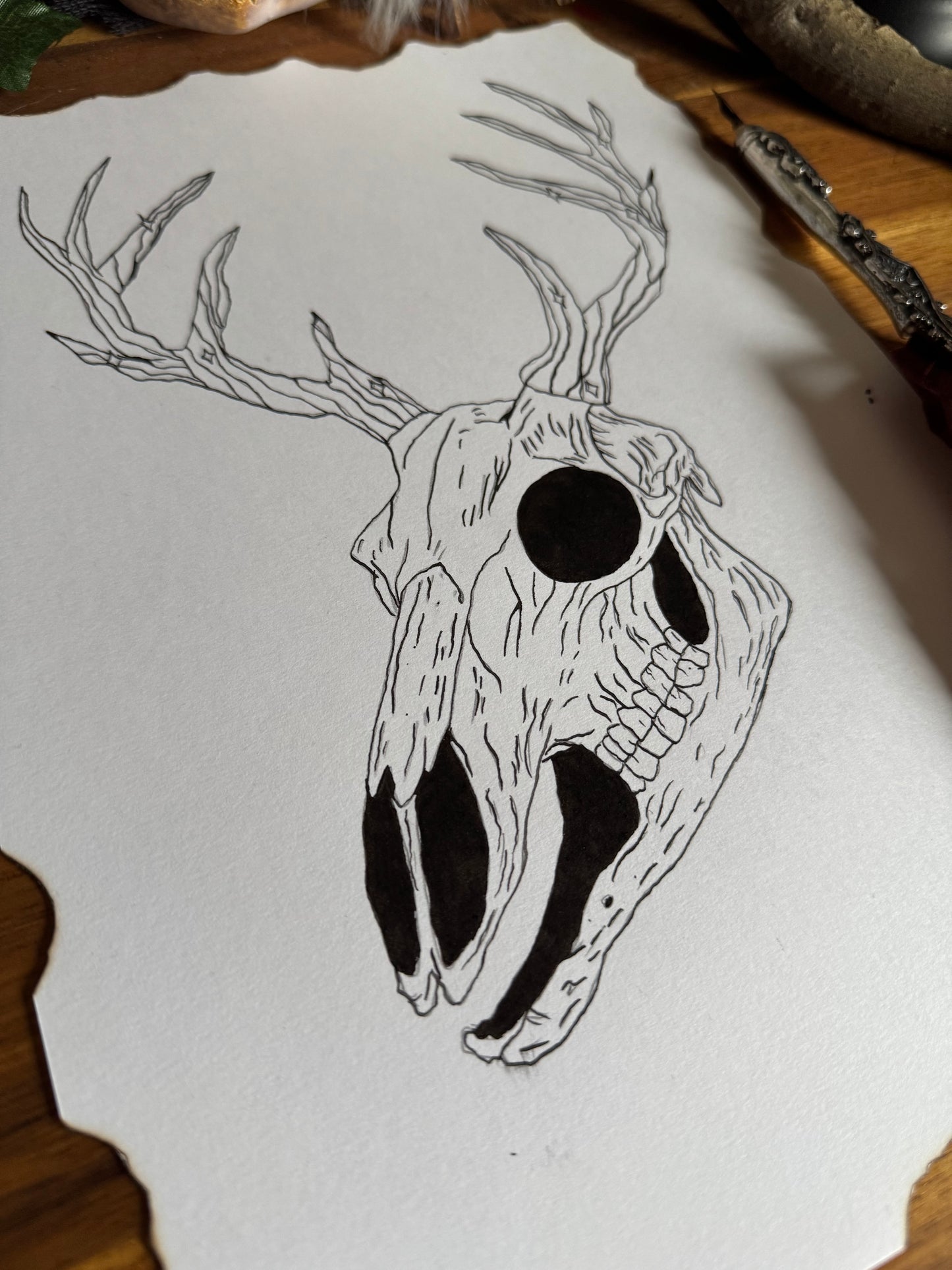Dessin "Bois de cerf enchantés" à la Plume