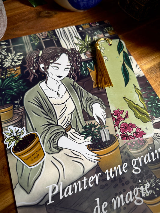 Lot "Sorcière des plantes d'intérieur"