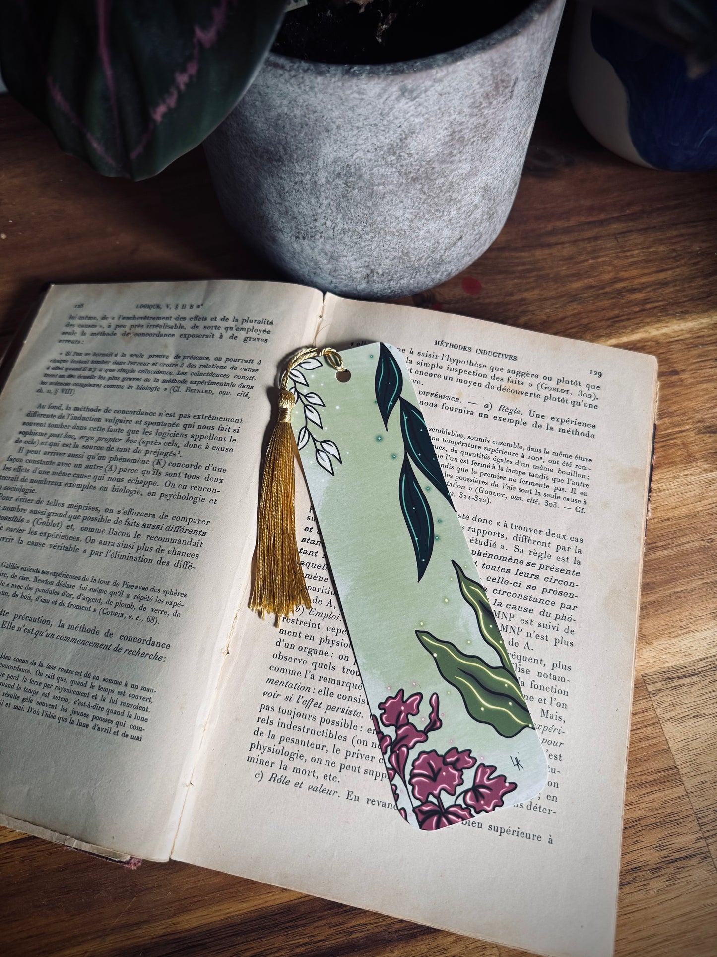 Marque-page "Sorcière des plantes d'intérieur"