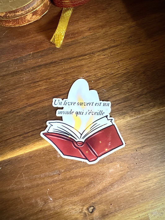 Sticker "Sorcière des livres"