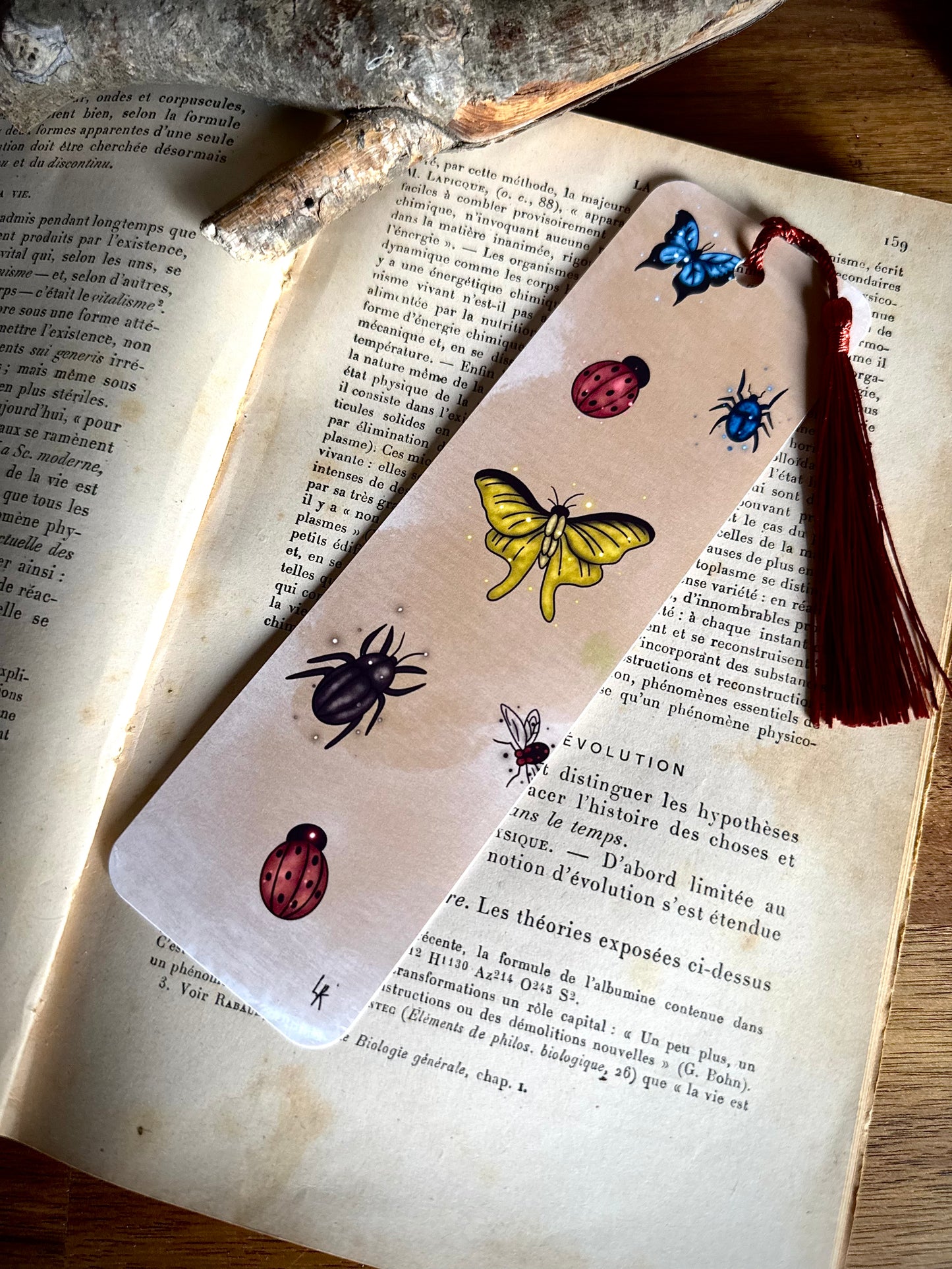Marque-page "Sorcière des insectes"