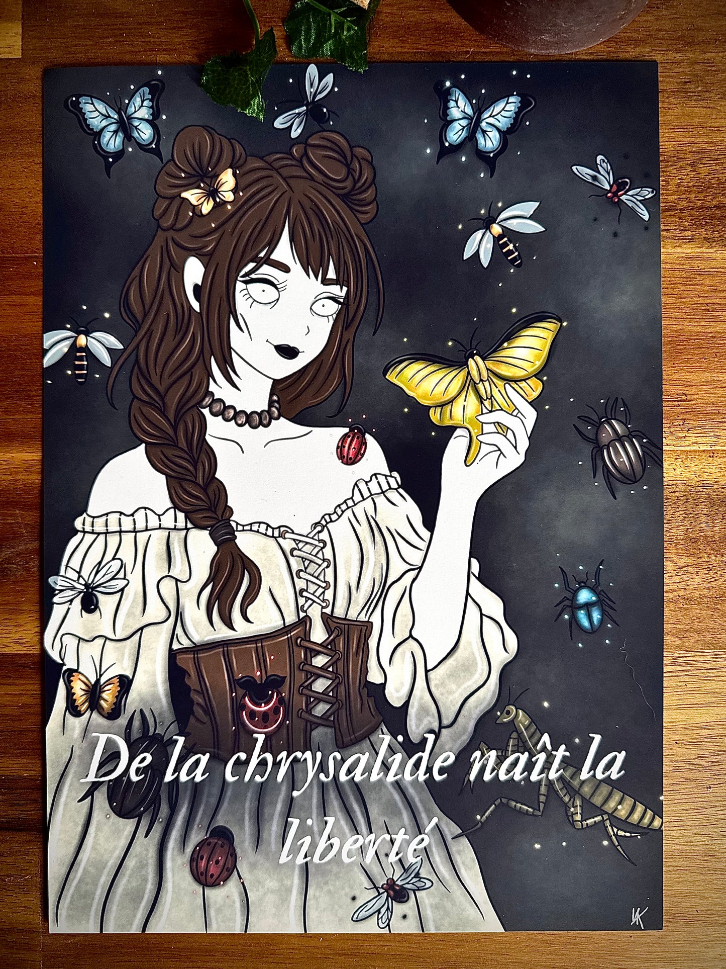 Illustration "Sorcière des insectes"