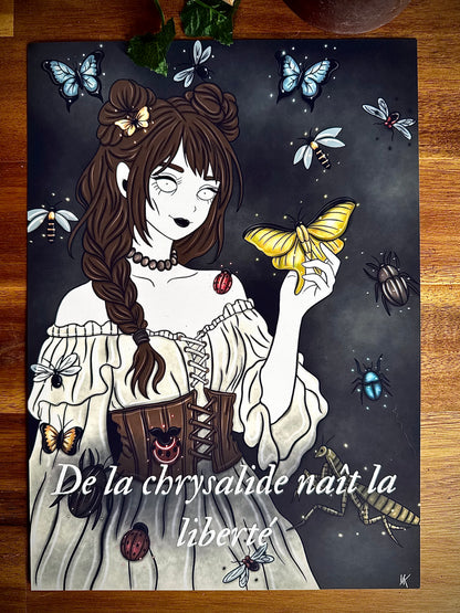 Illustration "Sorcière des insectes"
