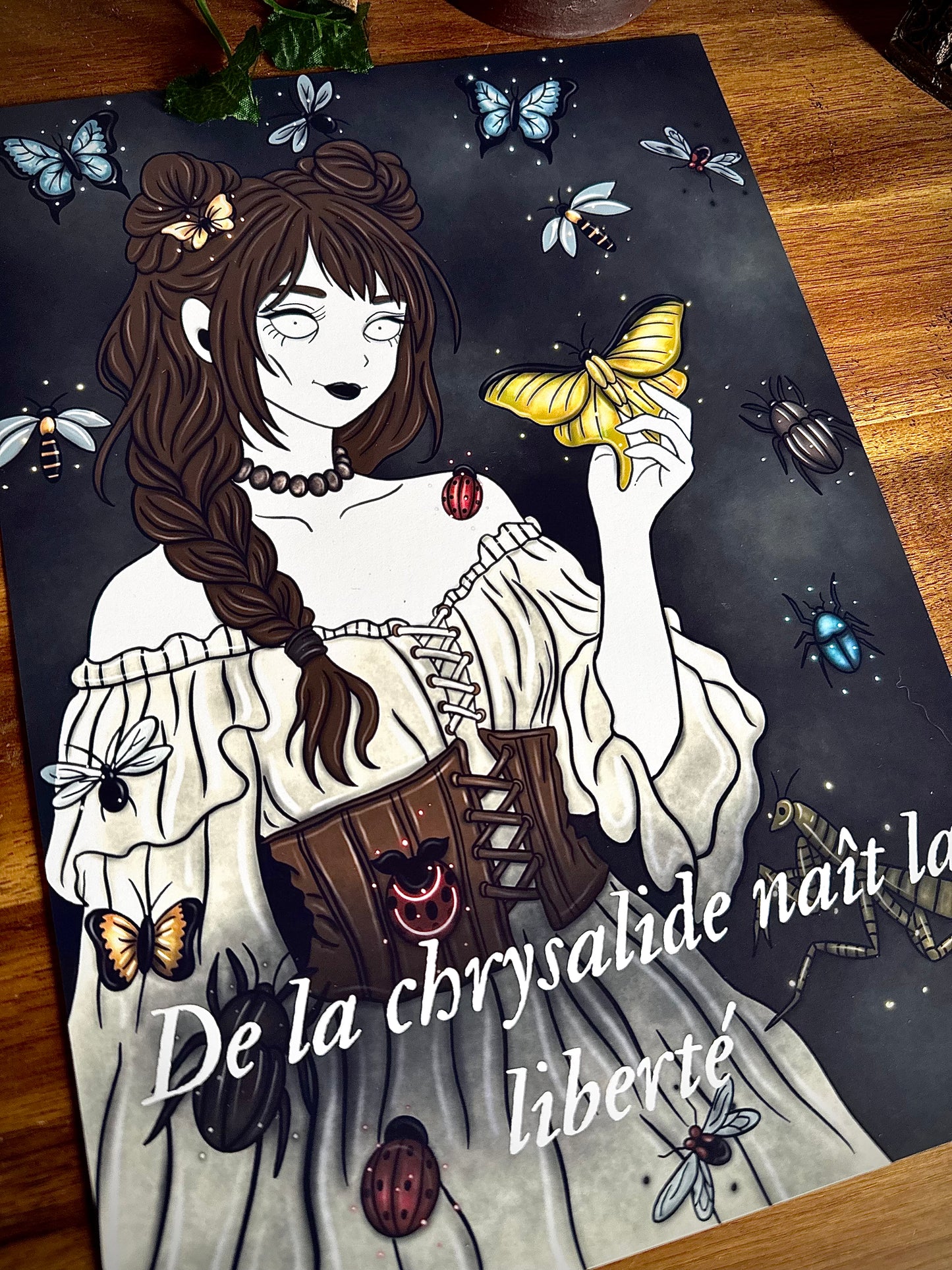 Illustration "Sorcière des insectes"