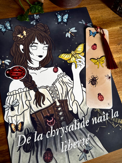 Lot "Sorcière des insectes"