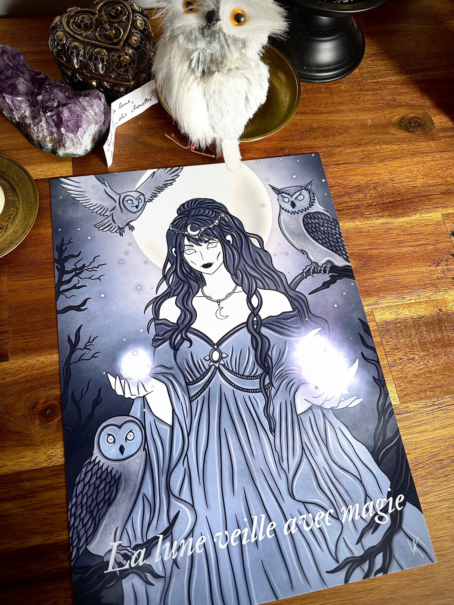 Illustration "Sorcière de la lune et des chouettes"