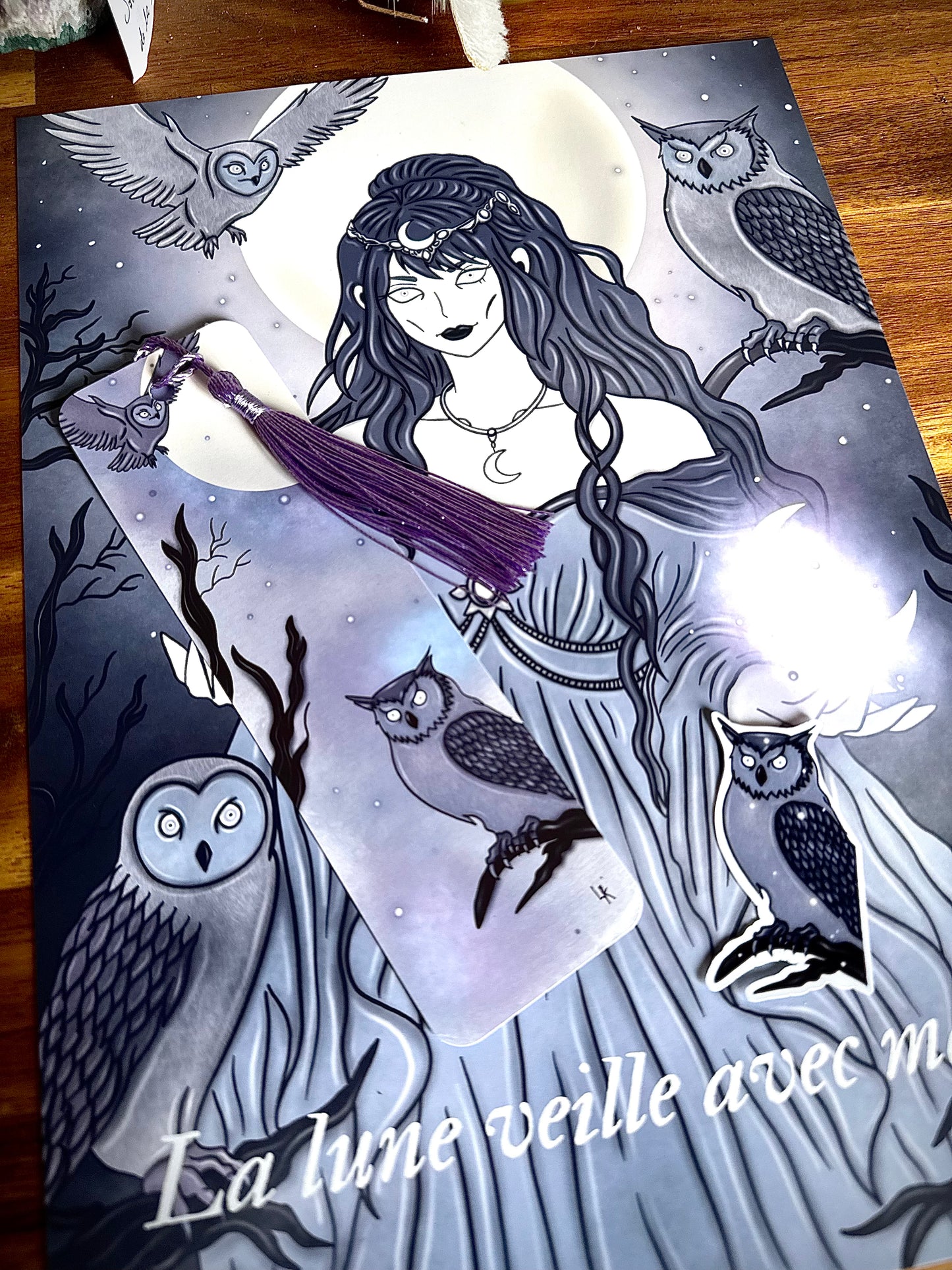 Lot "Sorcière de la lune et des chouettes"
