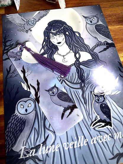 Lot "Sorcière de la lune et des chouettes"