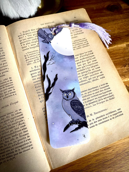 Lot "Sorcière de la lune et des chouettes"