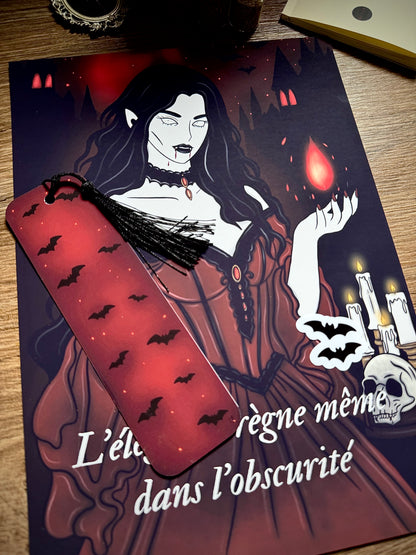 Lot "Sorcière vampire"