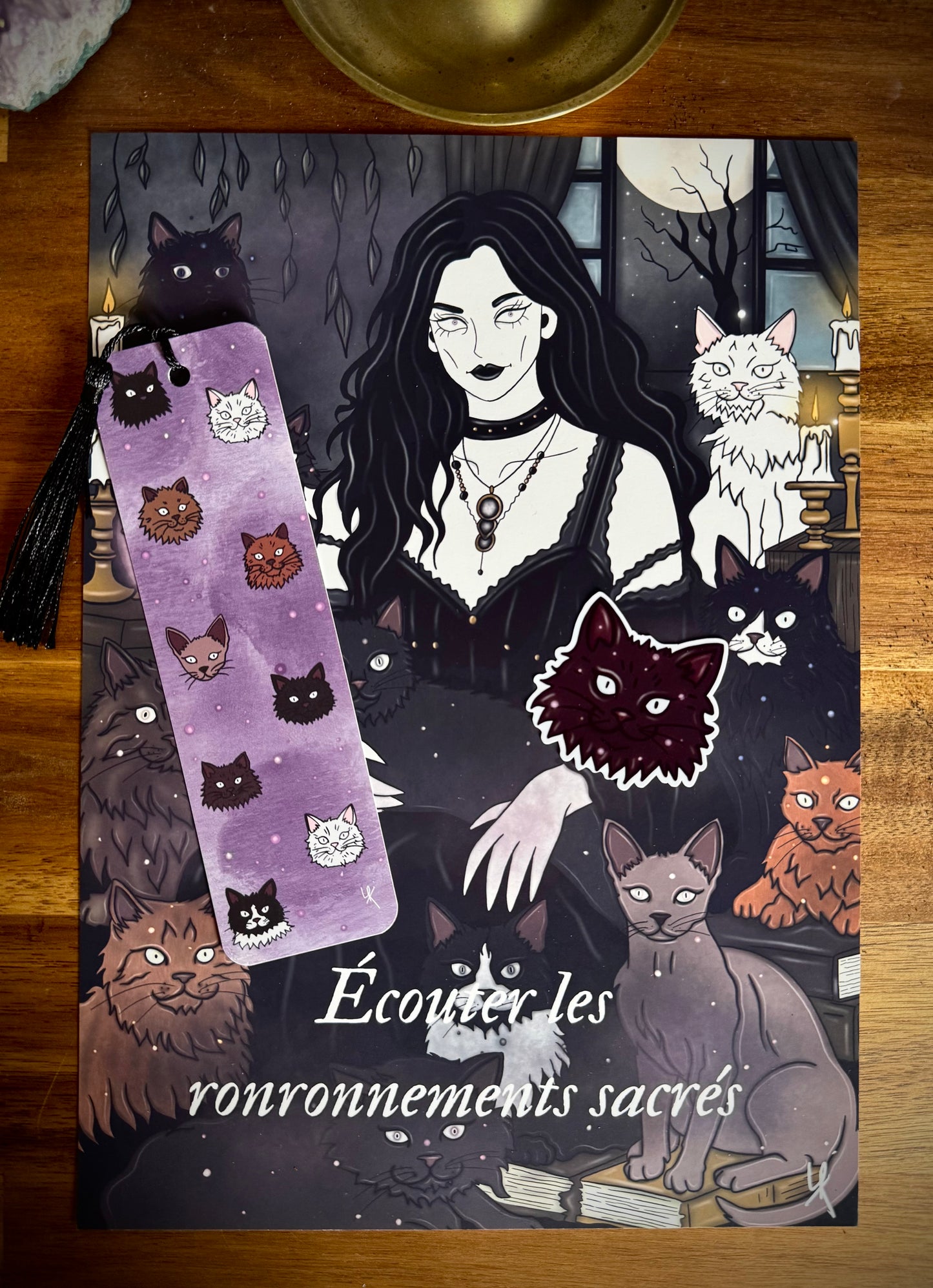 Lot "Sorcière des chats"