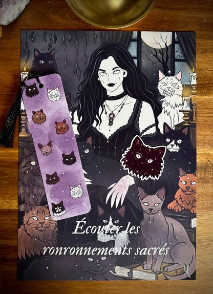 Lot "Sorcière des chats"