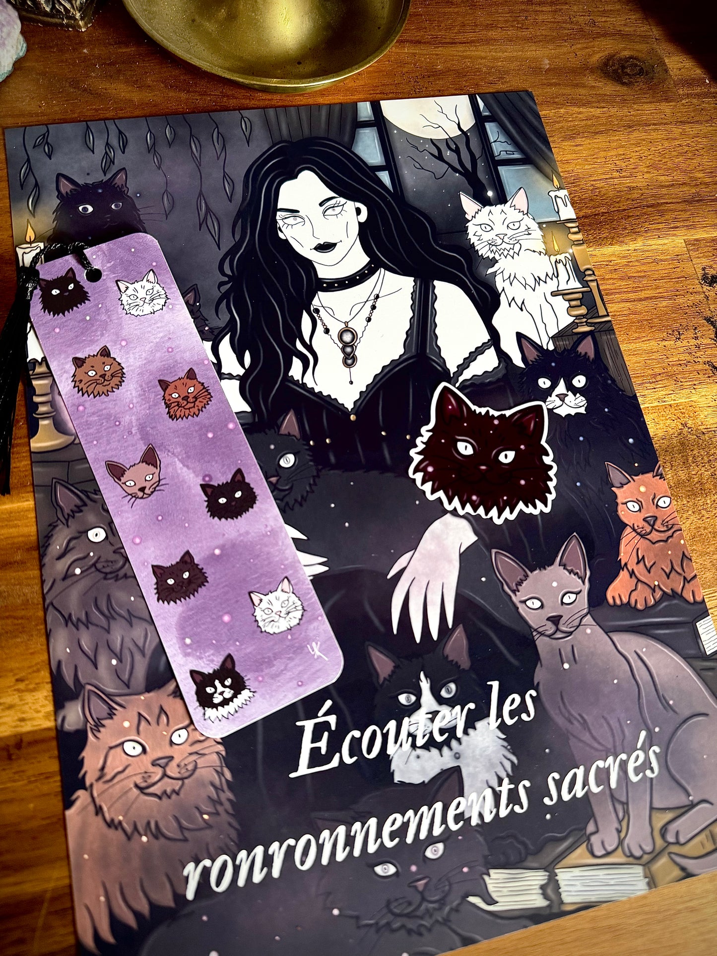 Lot "Sorcière des chats"