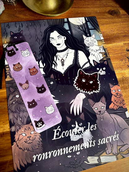 Lot "Sorcière des chats"