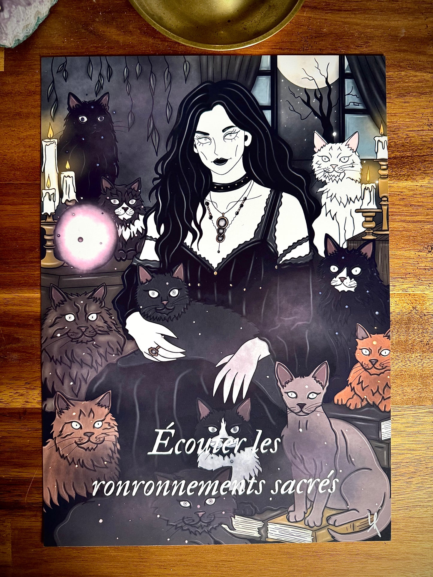Illustration "Sorcière des chats"