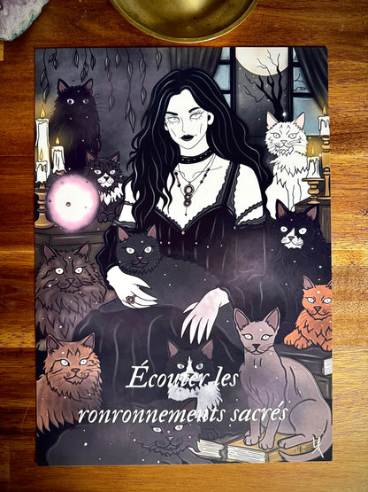 Illustration "Sorcière des chats"