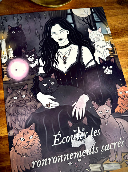 Illustration "Sorcière des chats"