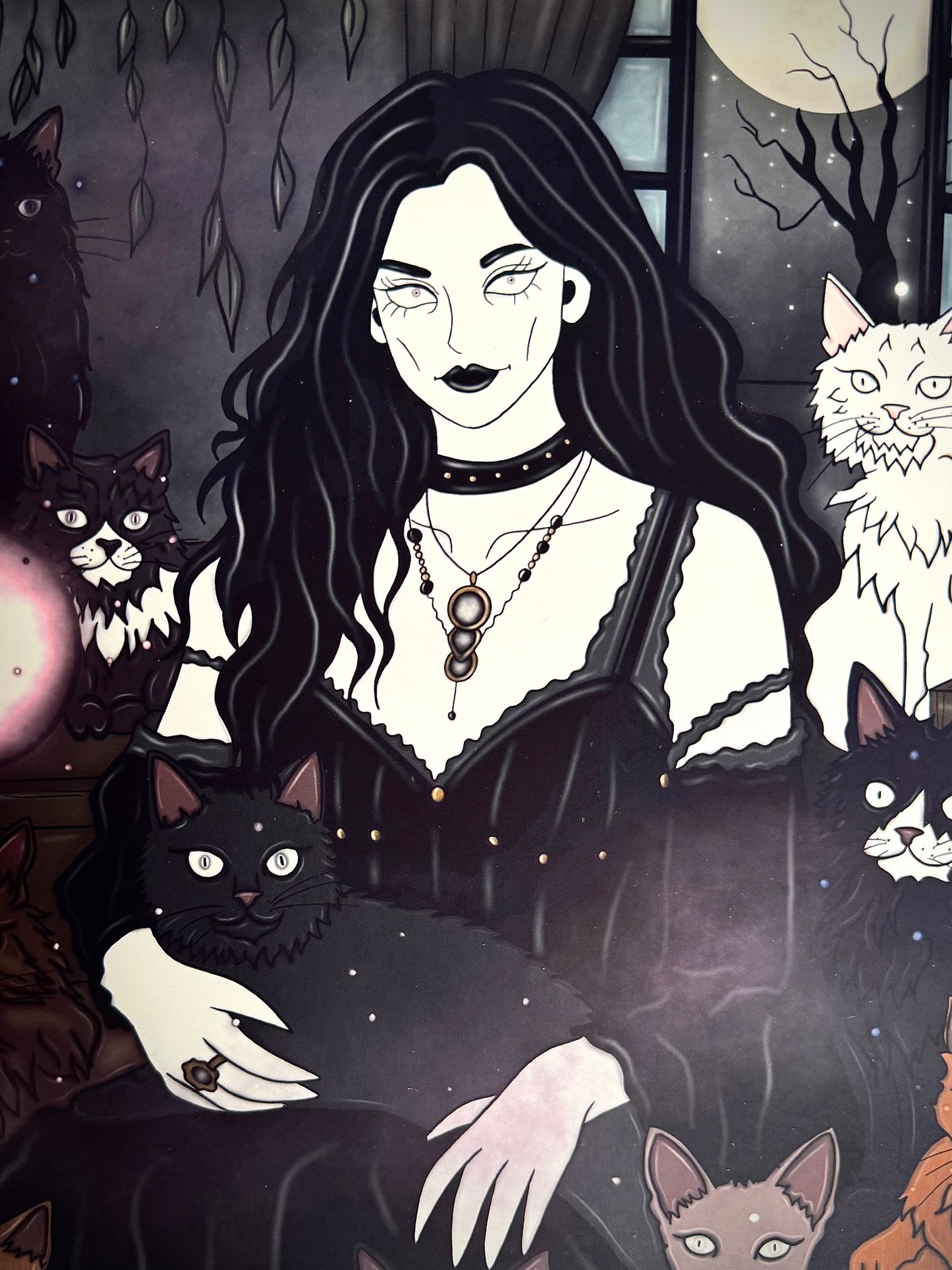 Illustration "Sorcière des chats"