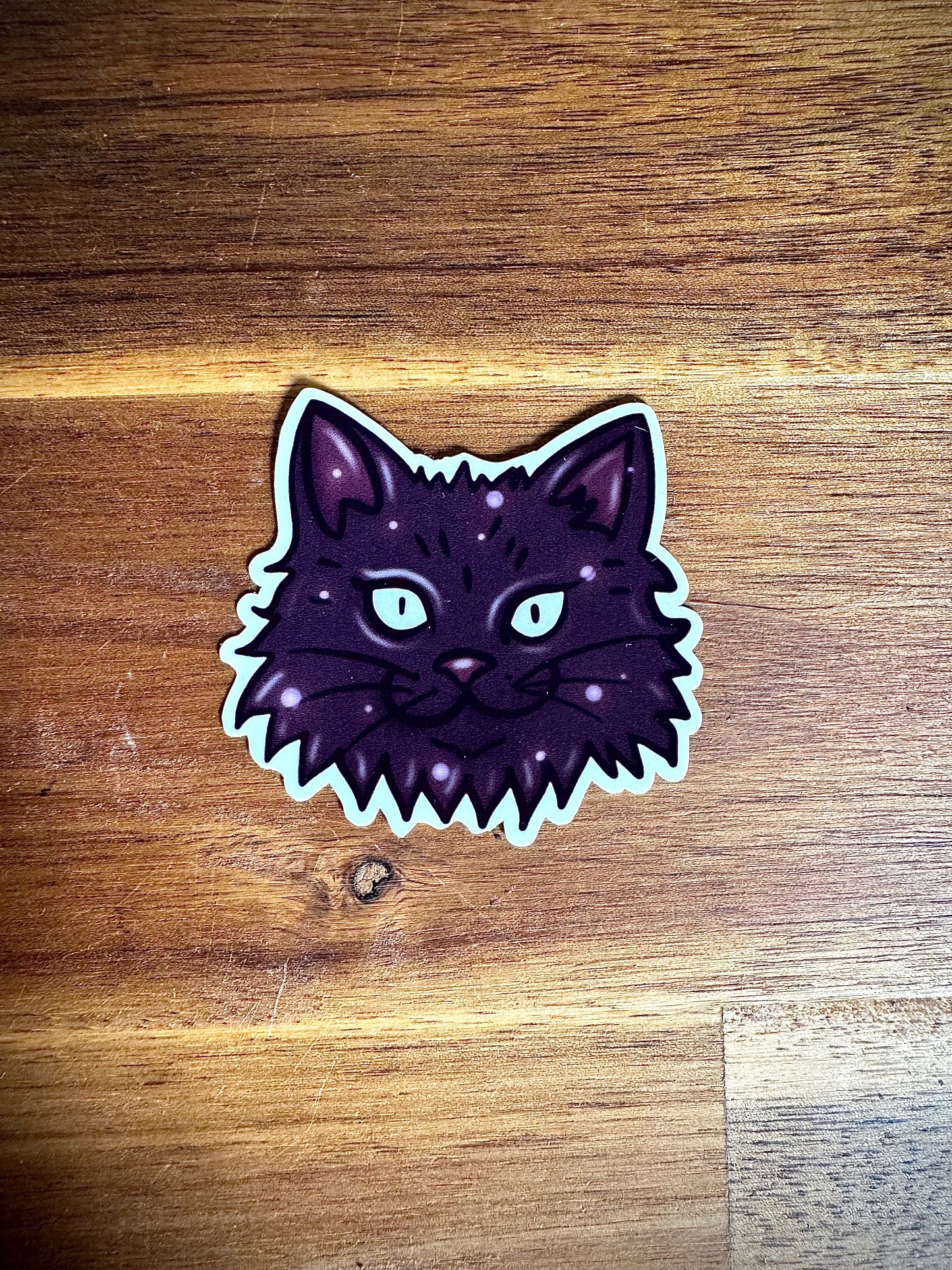 Lot "Sorcière des chats"