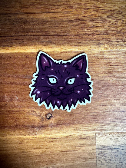 Lot "Sorcière des chats"