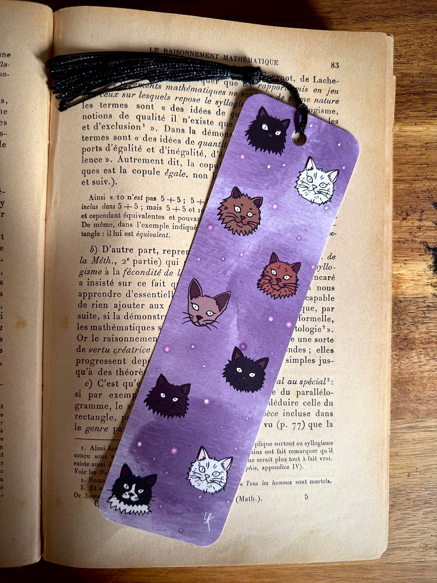 Lot "Sorcière des chats"
