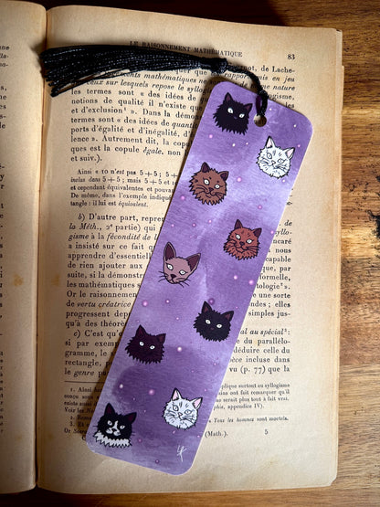 Lot "Sorcière des chats"
