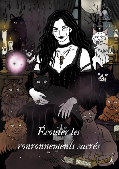 Illustration "Sorcière des chats"