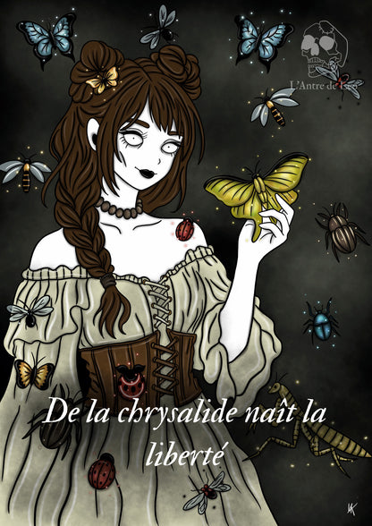 Illustration "Sorcière des insectes"